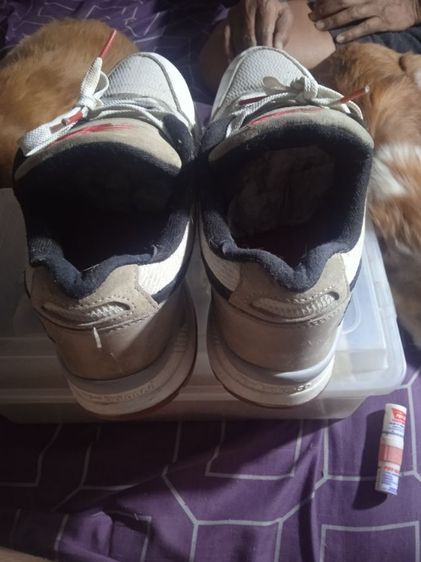 ส่งต่อ new balance 530 size 41.5 รูปที่ 2