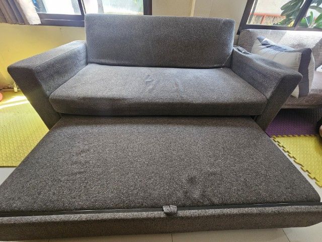 เทา ผ้า 4 ที่นั่ง ขายโซฟาเบส กับ โซฟาธรรมดา