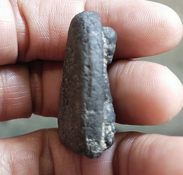 พระหลวงปู่ทวด ครับ รูปที่ 5