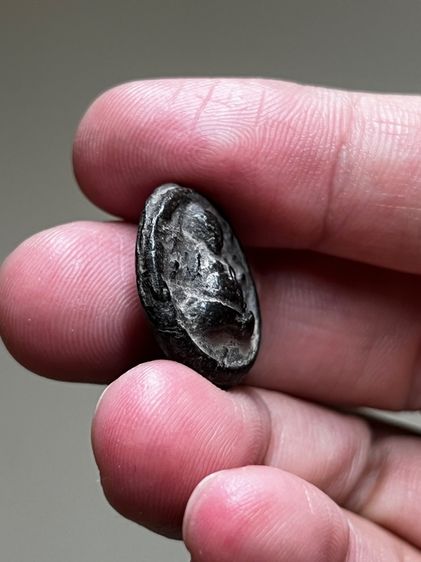 ของหลวงพ่อเต้า วัดเกาะวังไทร  รูปที่ 4