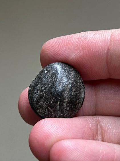 ของหลวงพ่อเต้า วัดเกาะวังไทร  รูปที่ 2