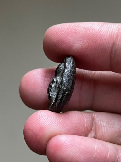 ของหลวงพ่อเต้า วัดเกาะวังไทร  รูปที่ 3