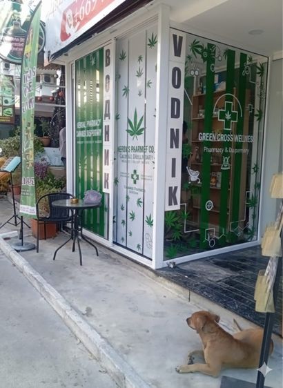 อื่นๆ ร้านกัญชา