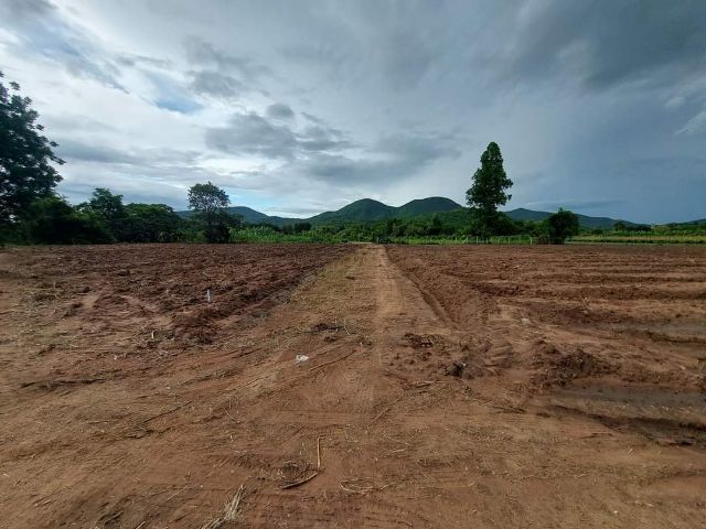 ใช่ ขายที่ดิน รูปที่ 2