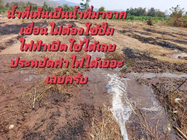 ใช่ ขายที่ดิน รูปที่ 4