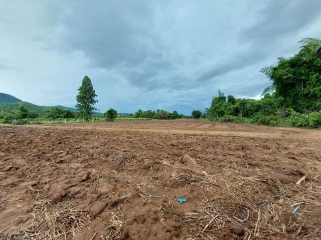 ขายที่ดิน