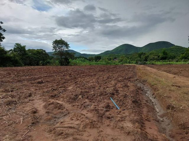 ใช่ ขายที่ดิน รูปที่ 3