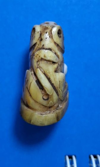 เสือเก่า รูปที่ 5