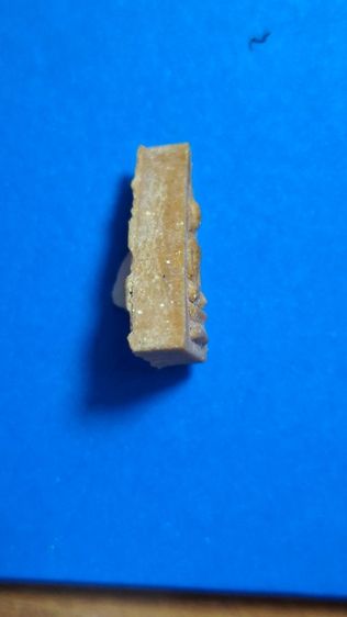 พระหลวงปู่แหวนวัดพลับพลาจ.นนทบุรีปี19 รูปที่ 4