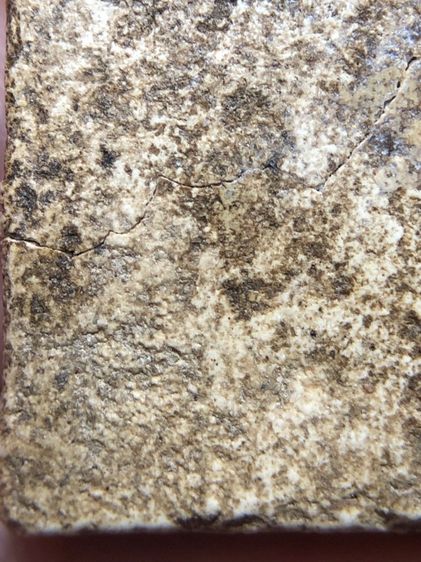 พระสมเด็จวัดระฆัง รูปที่ 8