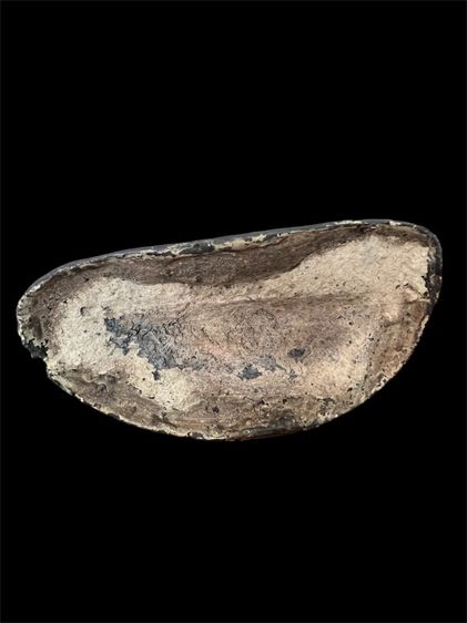 พระบูชาเชียงแสนลังกา หน้าตัก 6 นิ่ว รูปที่ 3