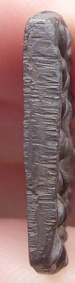 เหรียญเจ้าสัวหลวงปู่บุญ วัดกลางบางแก้ว รูปที่ 3