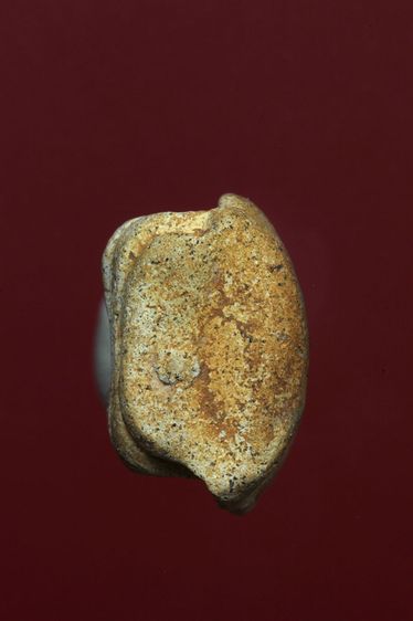 พระรอดลำพูนสวยๆค่ะเก่าค่ะ รูปที่ 5