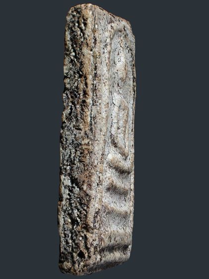 พระบ้านจริง รูปที่ 12