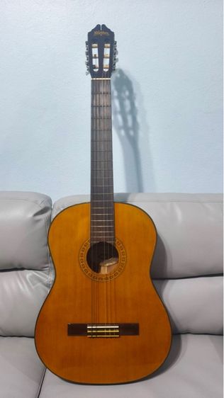 อื่นๆ กีต้าร์คลาสสิก กีตาร์