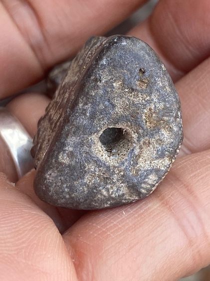 หลวงพ่อเนียม รูปที่ 5