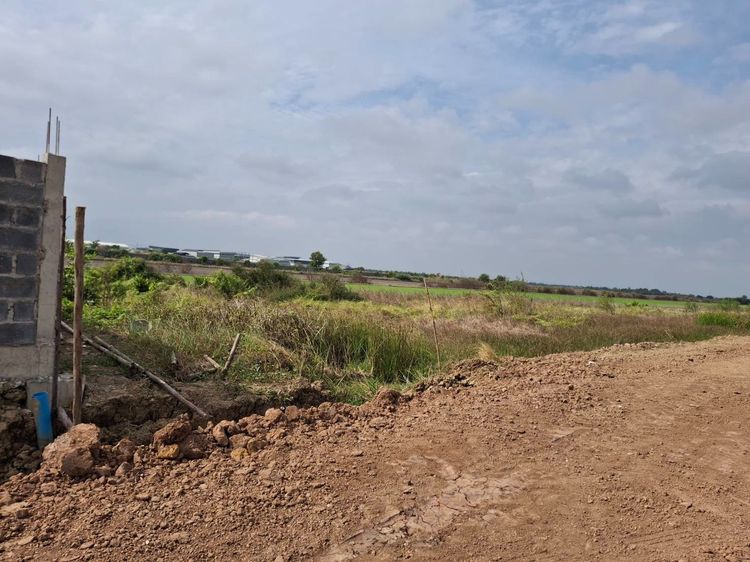 ที่ดิน รูปที่ 4