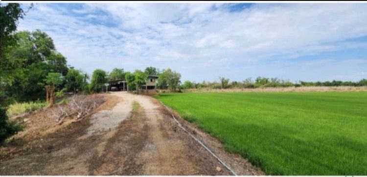 ไม่ใช่ ขายที่นา 103 ไร่พร้อมบ้านที่วัดน้ำทรง อุทัยธานี รูปที่ 3