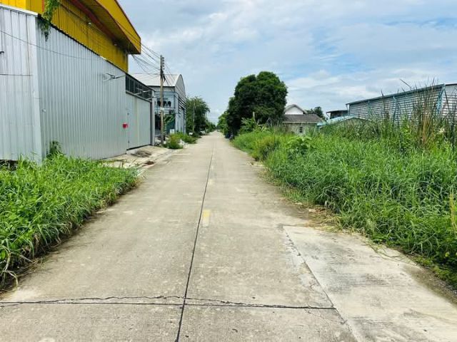 ใช่ ขายที่ดิน ราคาถูก พื้นที่สวย 200 ตารางวา ตรงซอยไสวประชาราษฎร์ 31 และ 33 ( แบ่งขายได้ 100 ตารางวา ราคา สองล้านสองแสนบาท) ค่าโอนผู้ขายออกให้ รูปที่ 4