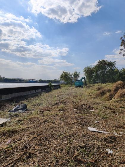 รับถางป่าทำแนวกันไฟ รอบกำแพง เดินถึงกันได้ ถางป่าทำรังวัด รูปที่ 9