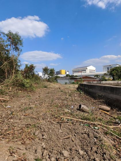 รับถางป่าทำแนวกันไฟ รอบกำแพง เดินถึงกันได้ ถางป่าทำรังวัด รูปที่ 8