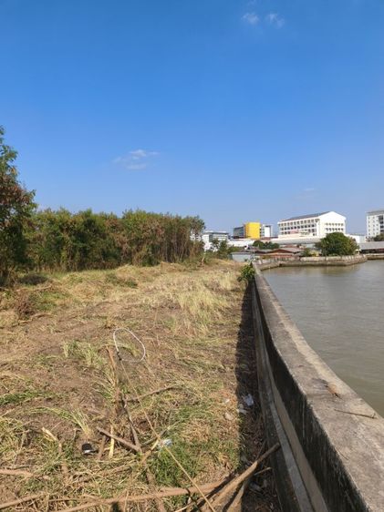 รับถางป่าทำแนวกันไฟ รอบกำแพง เดินถึงกันได้ ถางป่าทำรังวัด รูปที่ 5