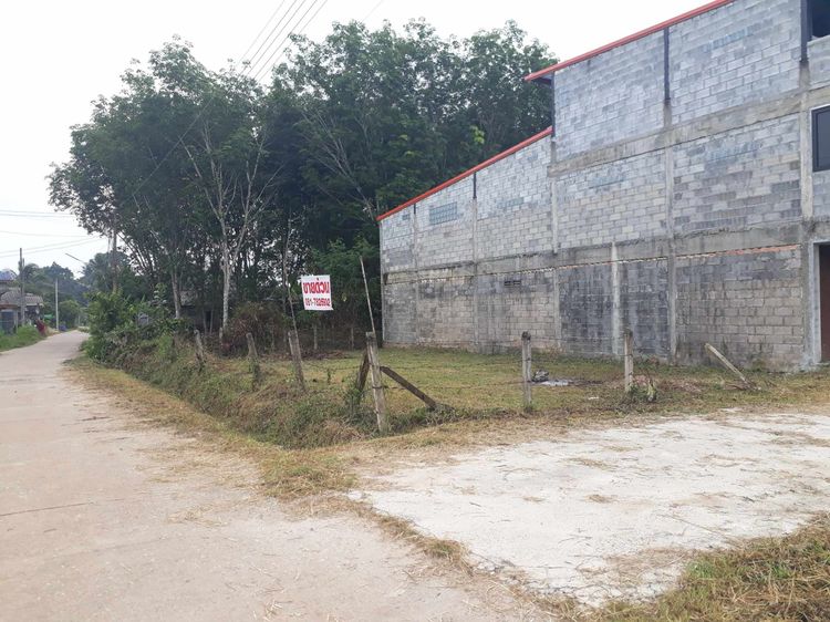 ที่ดินถมแล้ว2ห้องน้ำไม่ท่วม ขนาด 49ตารางวาสะบ้าย้อย