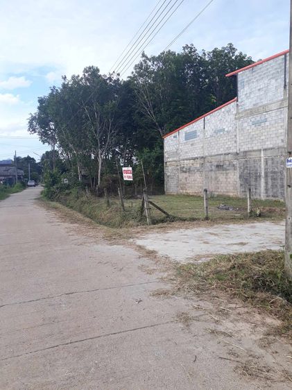 ที่ดินถมแล้ว2ห้องน้ำไม่ท่วม ขนาด 49ตารางวาสะบ้าย้อย รูปที่ 4