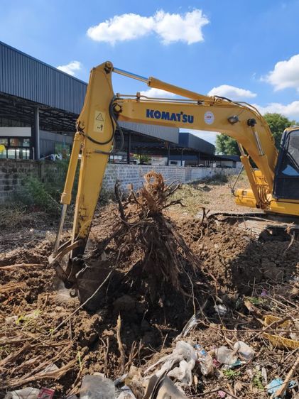 รับขุดตอยูคา ขุดรากไม้ ขนทิ้งหรือฝังกลบ ปรับพื้นที่ พัฒนาให้เช่า รูปที่ 4