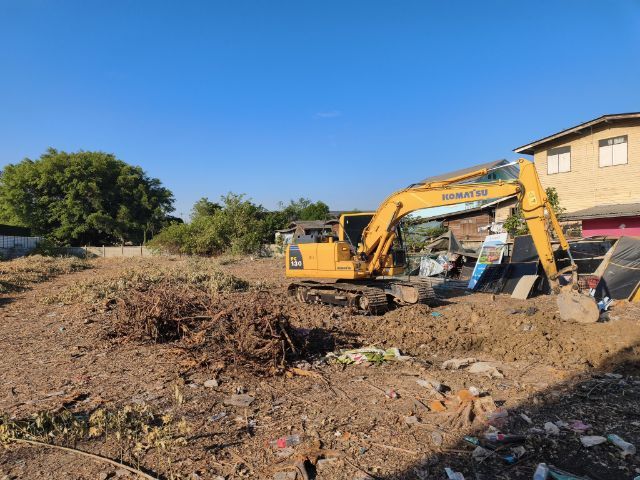 รับขุดตอยูคา ขุดรากไม้ ขนทิ้งหรือฝังกลบ ปรับพื้นที่ พัฒนาให้เช่า รูปที่ 3