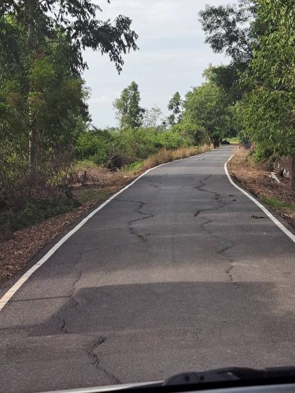 ที่ดิน นครนายก รูปที่ 4
