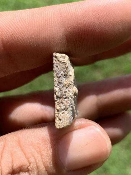 พระสมเด็จบางขุนพรหม รูปที่ 5