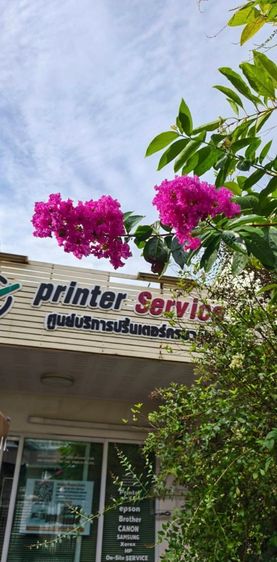 Epson พริ้นเตอร์และสแกนเนอร์ รับซ่อมปริ้นเตอร์ด่วน โดยช่างเทคนิคชำนาญงานพร้อมบริการนอกสถานที่