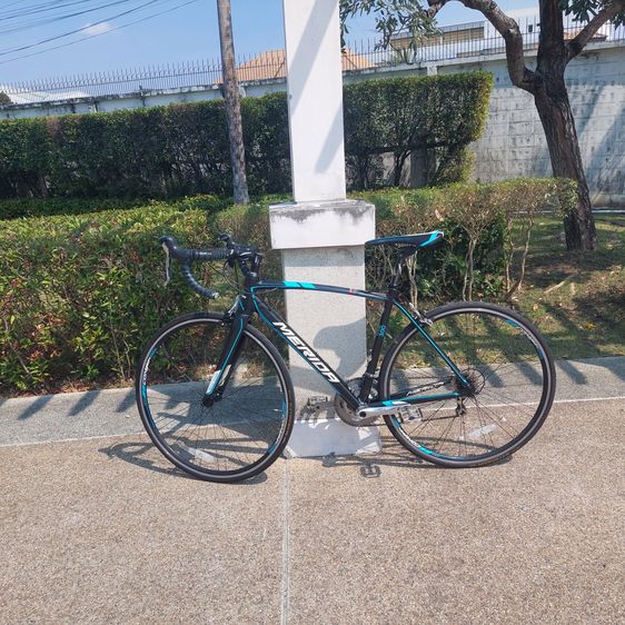 ขายจักรยานเสือหมอบ Merida Scultura 300 (ไซส์ 50) รูปที่ 3