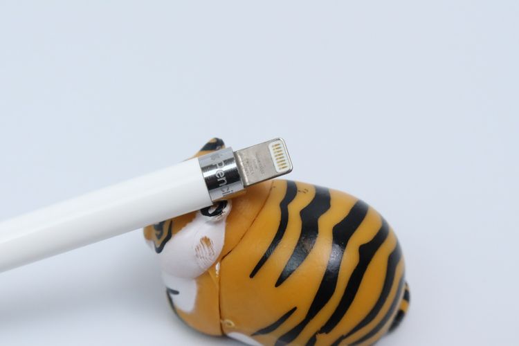 Apple Pencil รุ่น 1 - ID25100087 รูปที่ 6