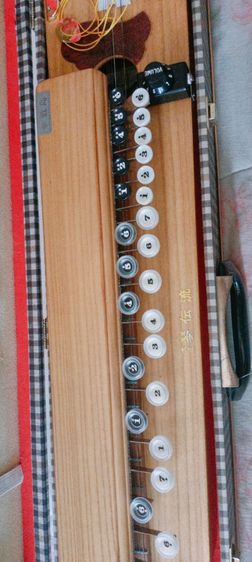 จะเข้ญี่ปุ่นไทโชโกโตะ taishogoto ต่อไฟฟ้าได้ รูปที่ 4