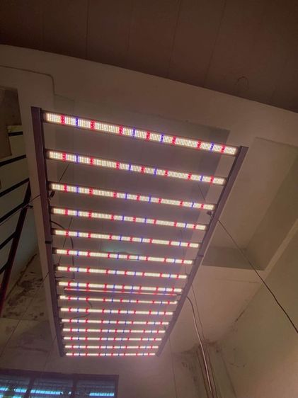 4 x ไฟ LED HIBOCT รุ่น C-1600W สำหรับจำหน่าย