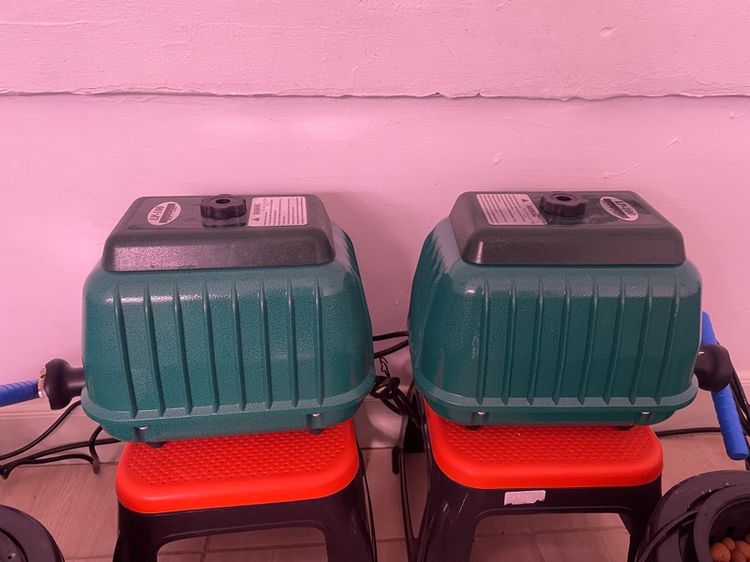 ปั๊มลม 100 วัตต์ ขาย มีทั้งหมด 9 เครื่อง