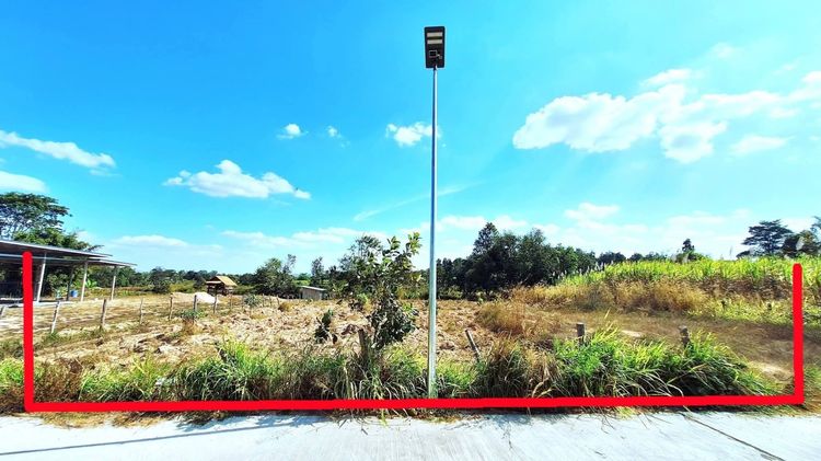 ขายด่วนที่ดิน1ไร่ จ.มุกดาหาร หน้ากว้าง27×ยาว60 โทร.08086296170 สี่เหลี่ยมผืนผ้าสวยๆ รูปที่ 2