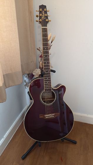 กีต้าร์โปร่ง กีตาร์โปร่งไฟฟ้า Takamine DMP551C WR JAPAN