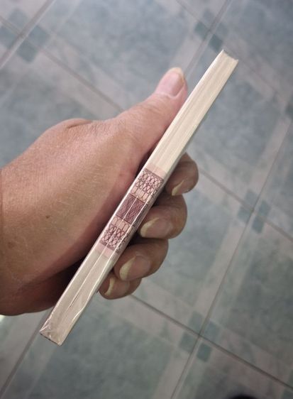 ธนบัตรแบบที่ 12 ทรงม้า แหนบเลขกระจก  รูปที่ 6