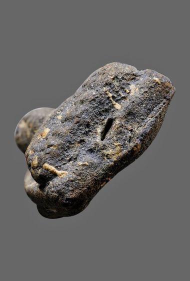 พระหลวงปู่ทวดเนื้อว่านปี 2497 วัดช้างให้พิมพ์ใหญ่A รูปที่ 5