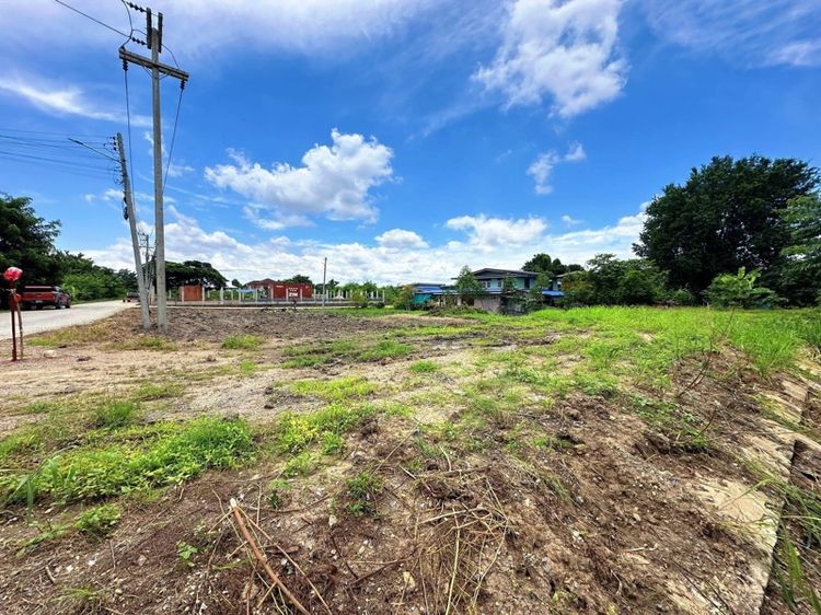 ขายที่ดิน267ตรว.ที่สวยติด3ถนนติดคลองเจ้าพระยา รูปที่ 2