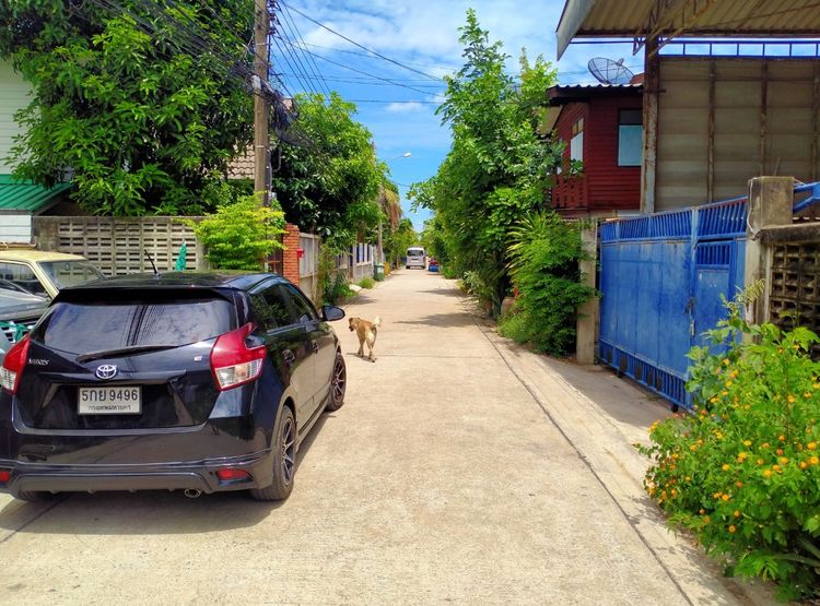 ที่ดินเปล่า สะแกงาม 14