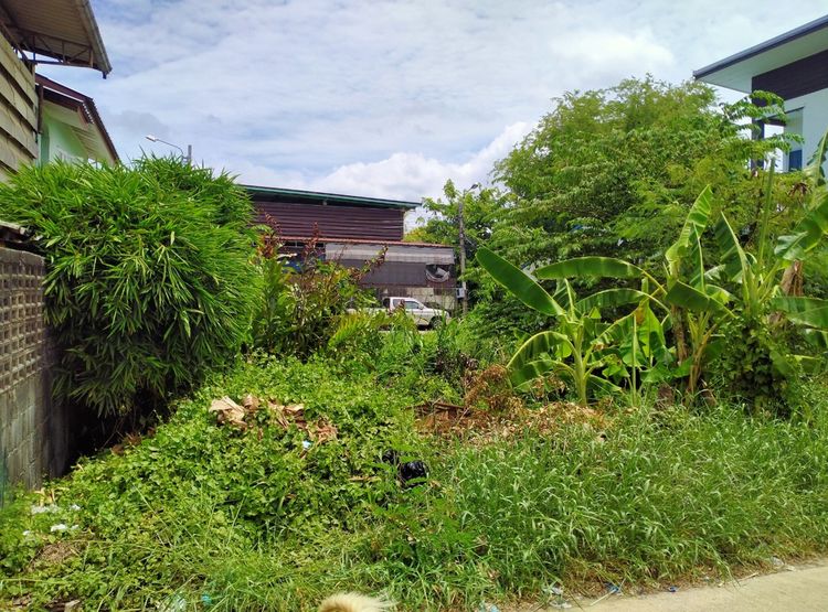 ที่ดินเปล่า สะแกงาม 14 รูปที่ 4
