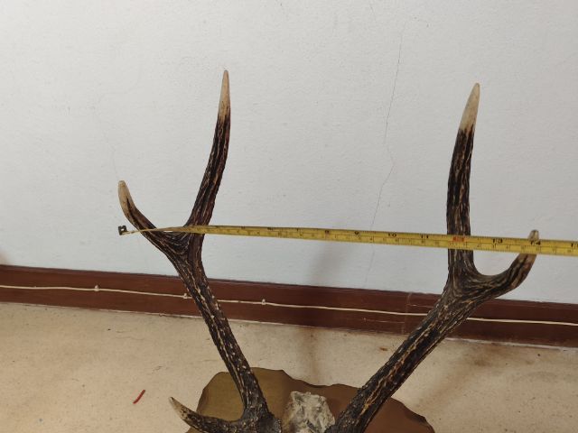 ที่วางซามูไร รูปที่ 2