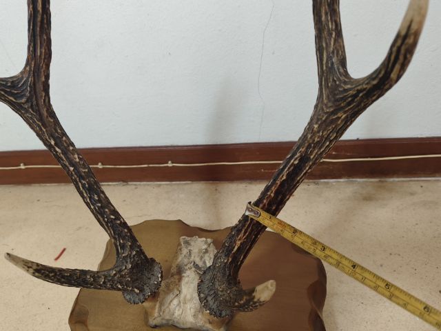 ที่วางซามูไร รูปที่ 4