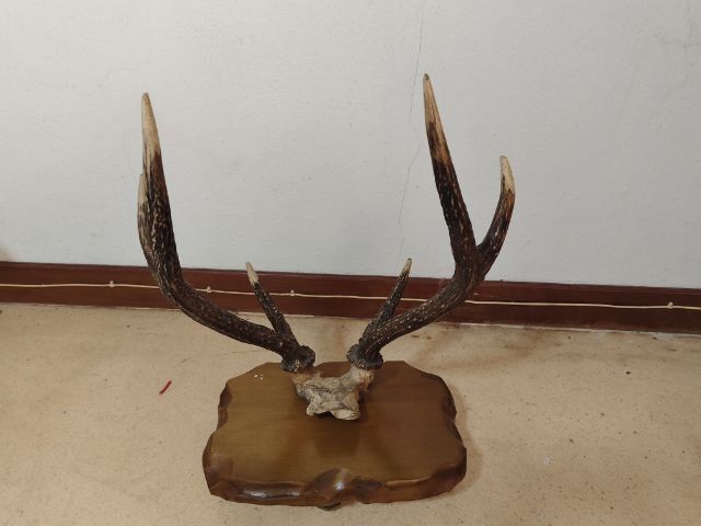 ที่วางซามูไร รูปที่ 3