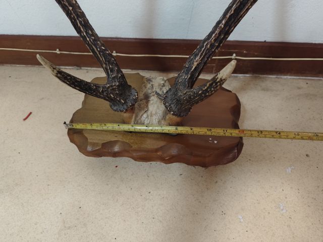 ที่วางซามูไร รูปที่ 6