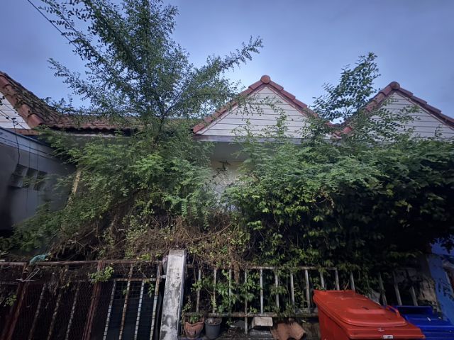 อื่นๆ ใช่ ขายบ้าน2ห้องนอน1ห้องน้ำ1ห้องนั่งเล่นมีหลังครัวมีโรงรถมีสวนต้นไม้ข้างๆหน้าบ้าน รูปที่ 3